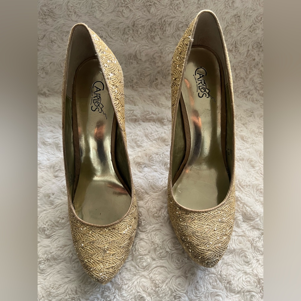 Carlos Santana high heel shoes
